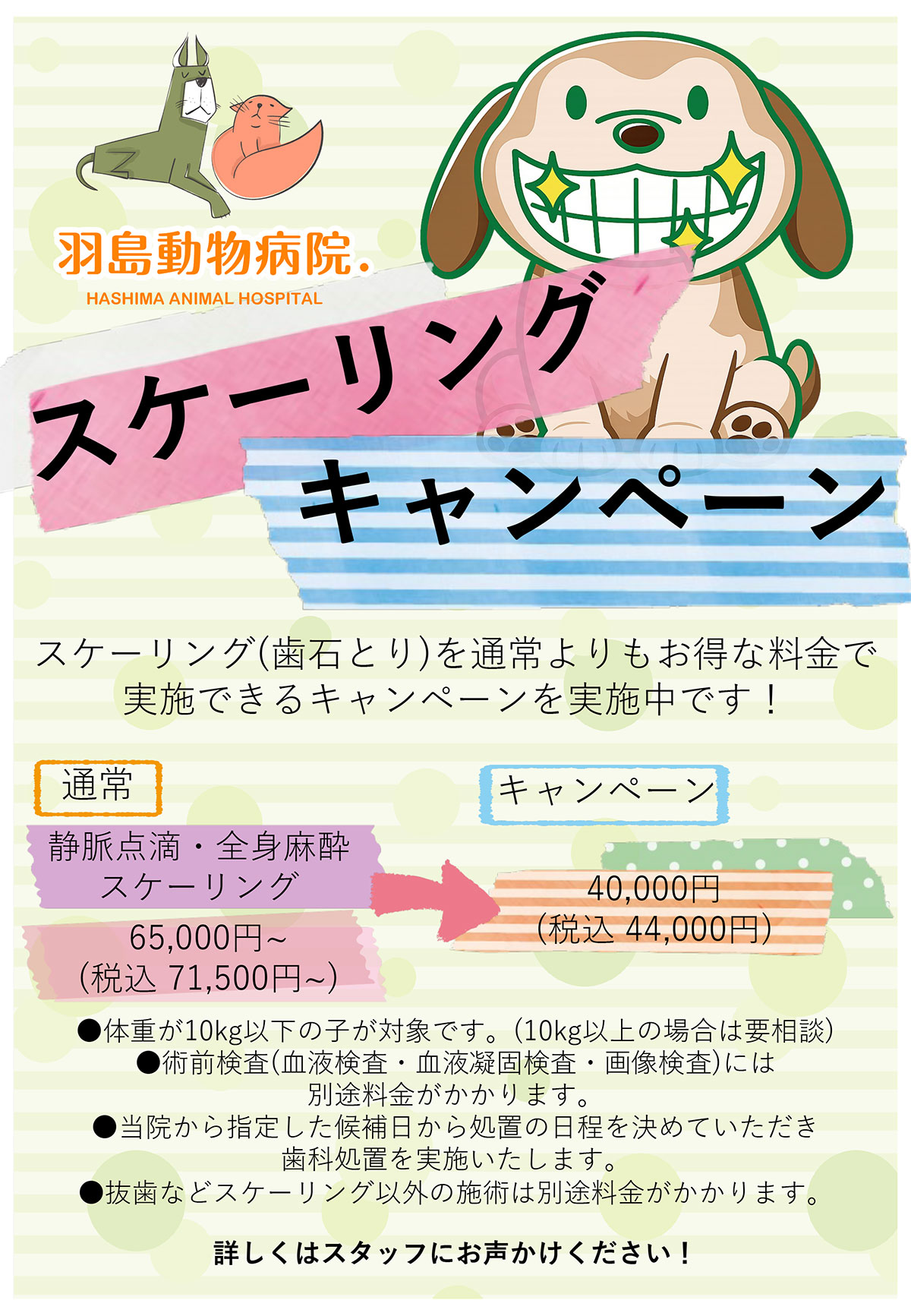 スケーリングキャンペーン