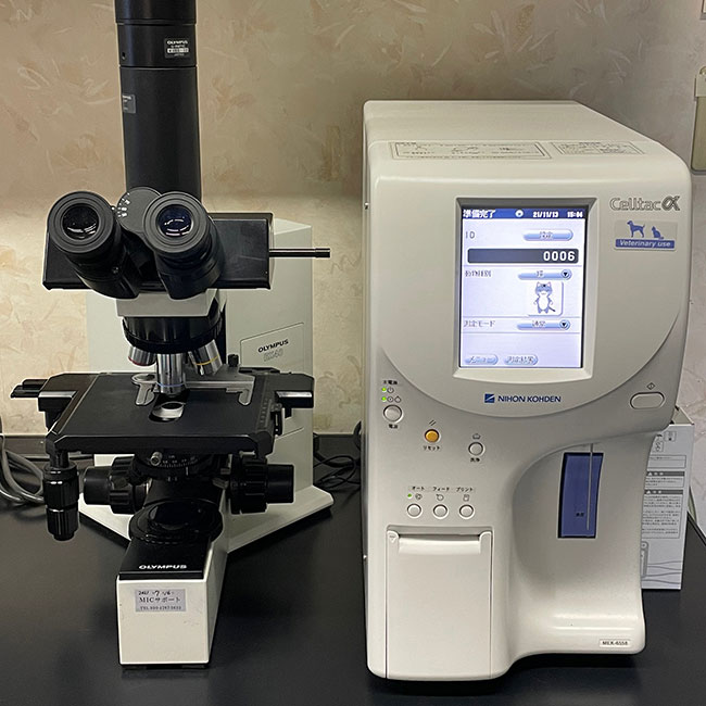 顕微鏡と血球検査　（Celltac α）